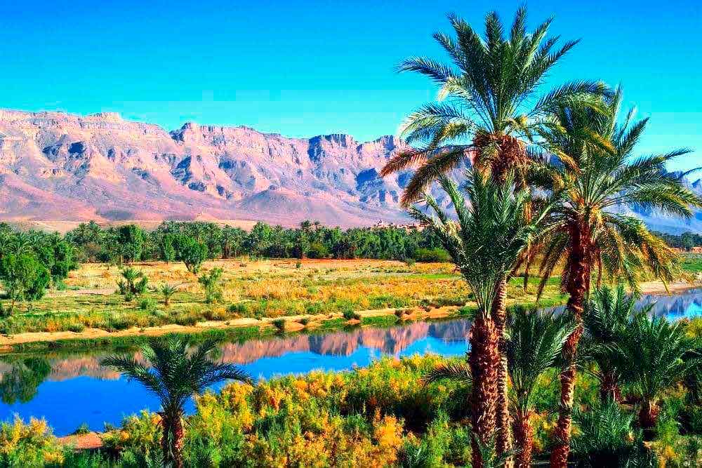 Долина реки Драа в Марокко